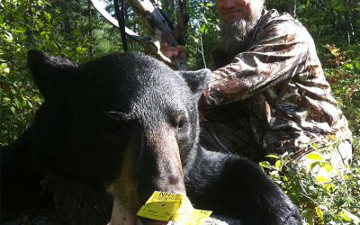 Spring and Fall Ontario Black Bear Hunts